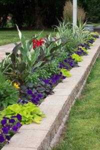 Сочетаем цветы и цвета