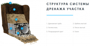 Структура дренажа