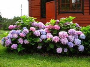 bbd140[1]